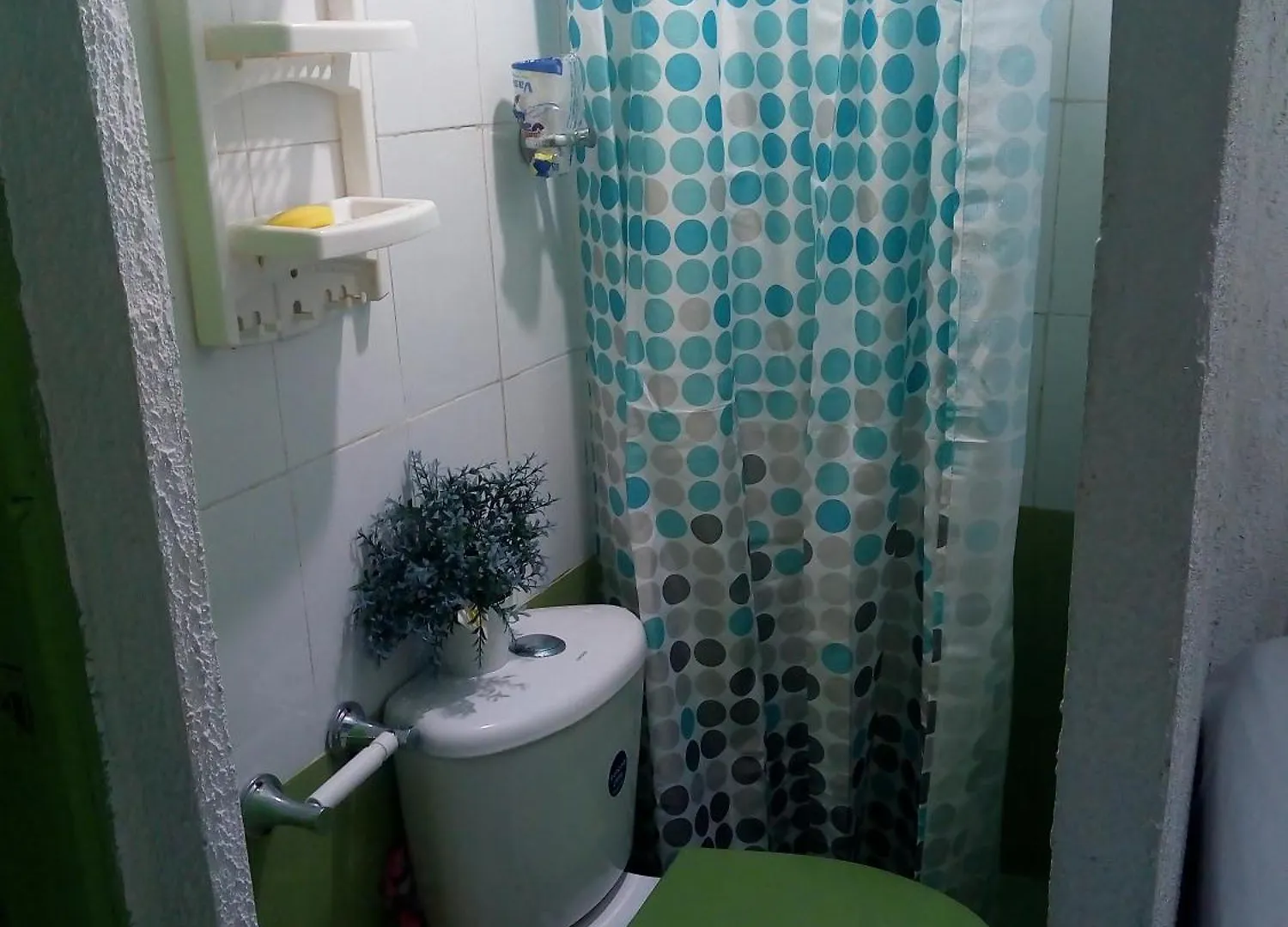 Guest house Posada Green Sea San Luis Cueva de Morgan