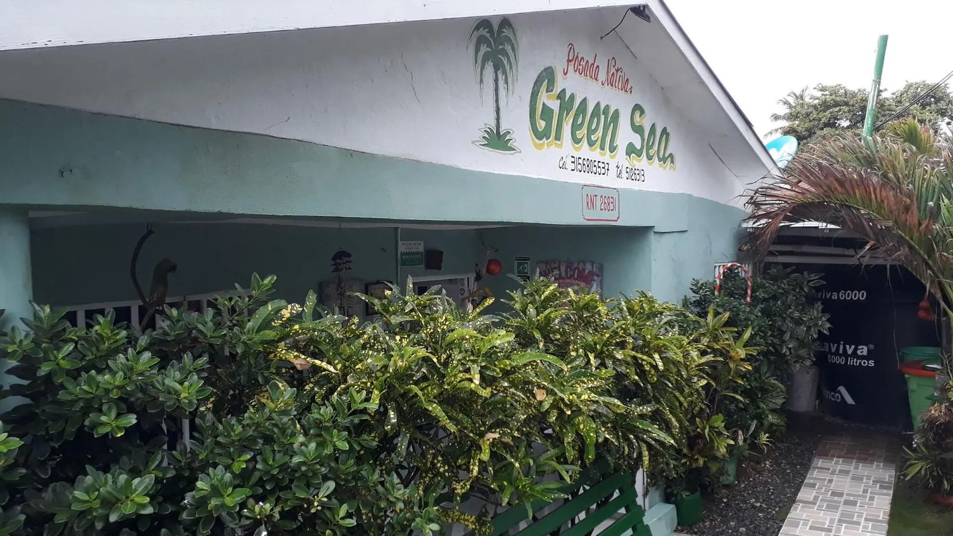 Posada Green Sea San Luis contacts